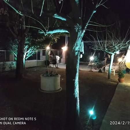 Damanda Mare Campsite *