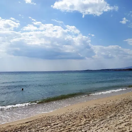 Kamp alanı Damanda Mare Nea Poteidaia