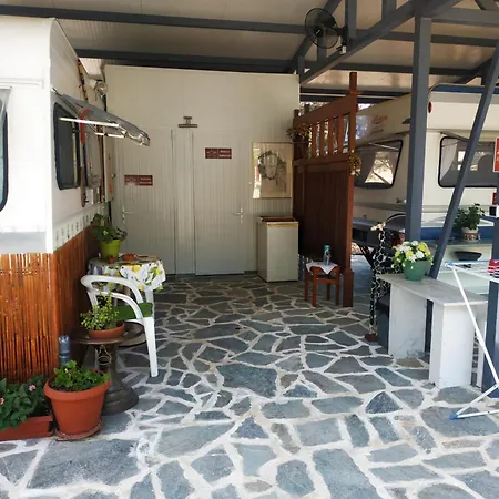 Damanda Mare Kamp alanı