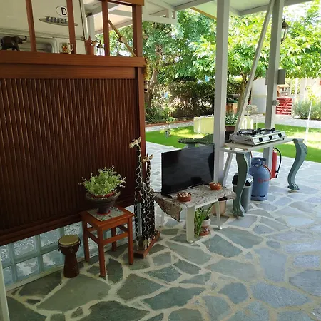 Damanda Mare Kamp alanı