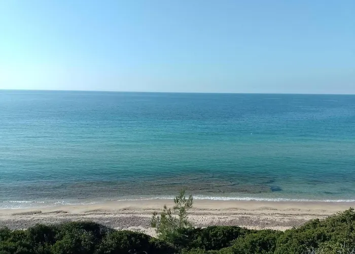 Damanda Mare Nea Poteidaia