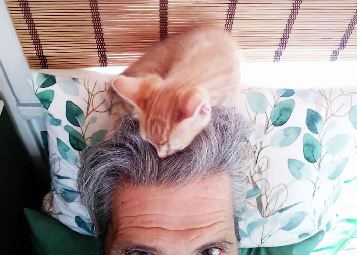 Campingplads Damanda Mare *