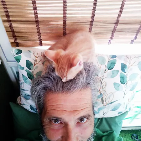 Campsite Damanda Mare *