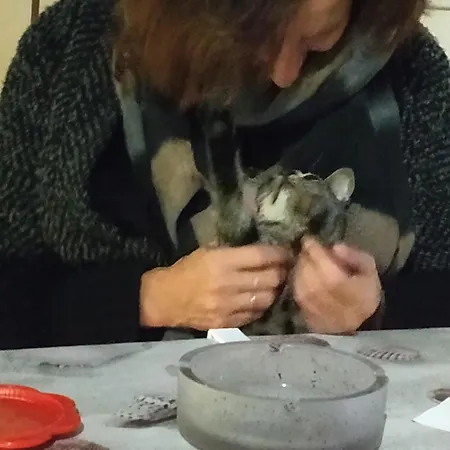 Damanda Mare Campsite Nea Poteidaia