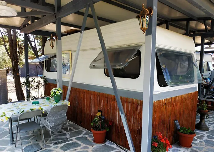 Damanda Mare Camping *