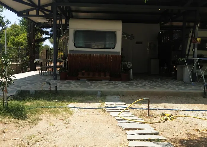 Damanda Mare Camping *